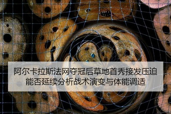 a-er-ka-la-si-fa-wang-duo-guan-hou-cao-di-shou-xiu-jie-fa-ya-po-neng-fou-yan-xu-fen-xi-zhan-shu-yan-bian-yu-ti-neng-2-617.jpg
